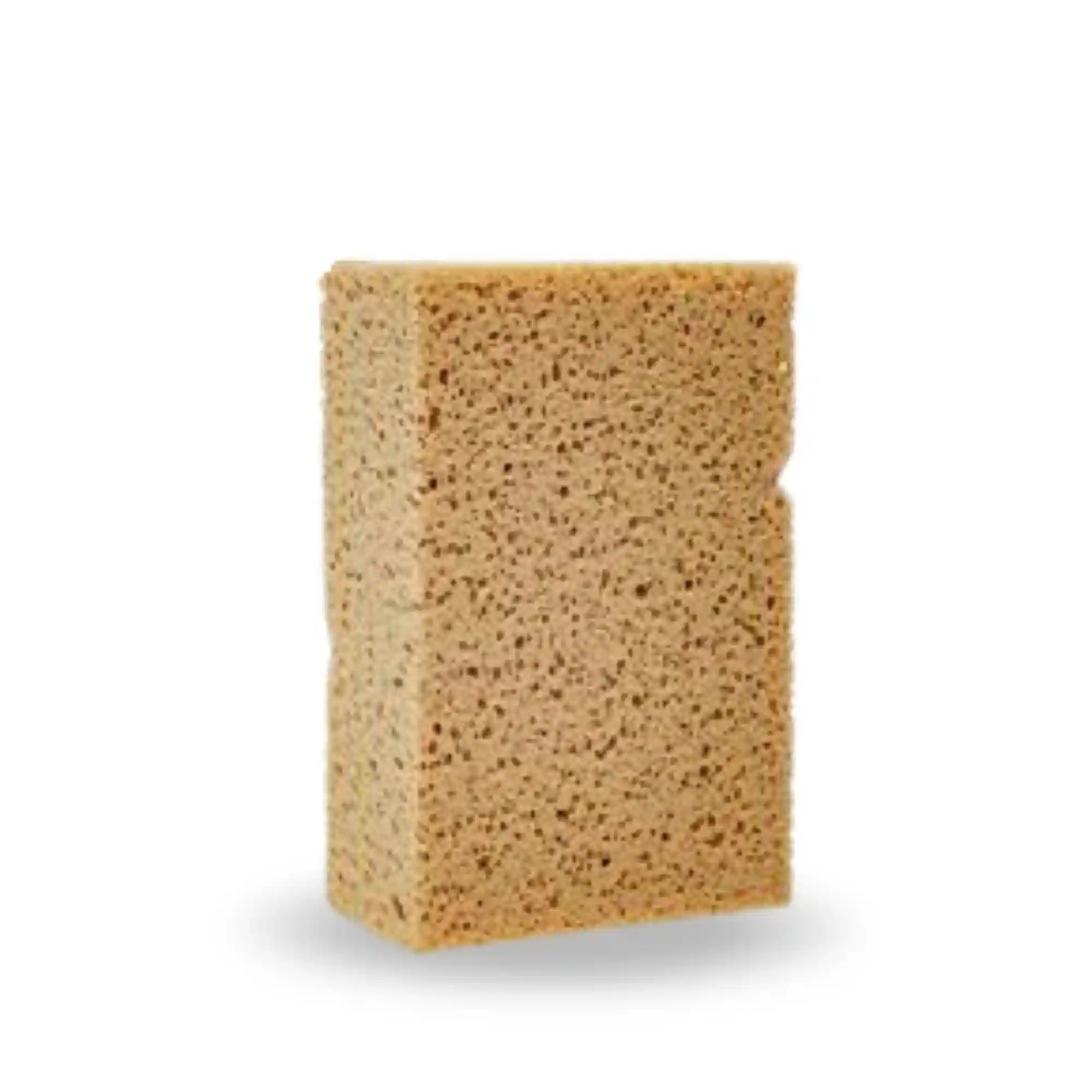 WASHING SPONGE KOCH-CHEMIE